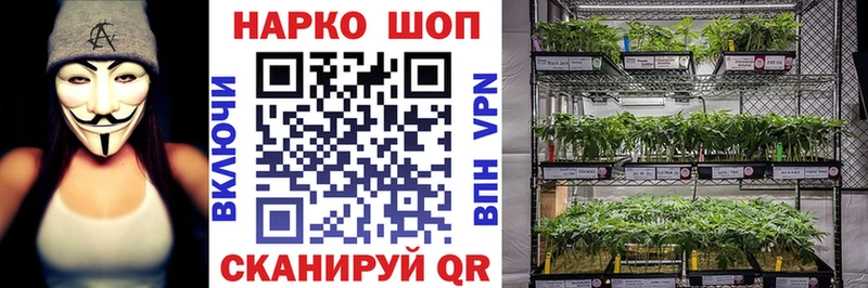 Виды наркоты Поворино ГАШ АМФЕТАМИН Мефедрон КОКАИН