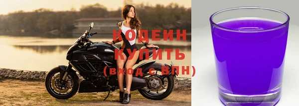 молекула духа Бежецк