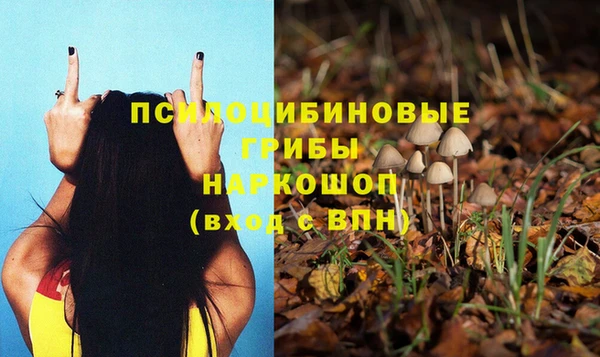 сатива Михайловск