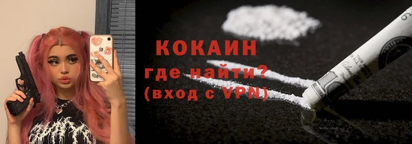 индика Михайловка