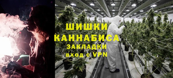 сатива Михайловск