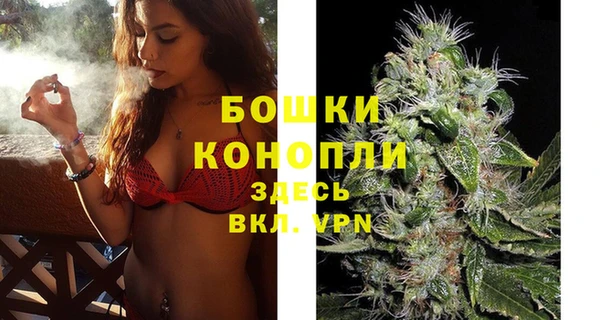 индика Михайловка