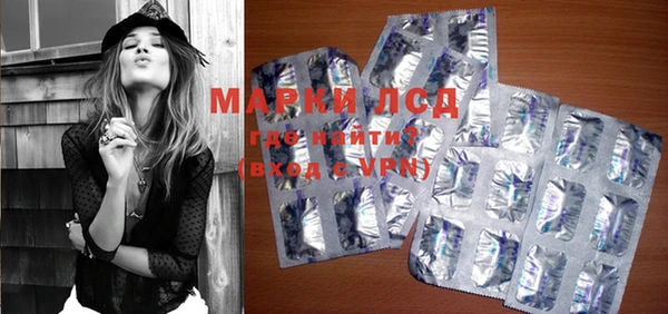 индика Михайловка